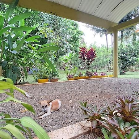 Villa Anacahuita, Limonal Jarabacoa Exterior foto