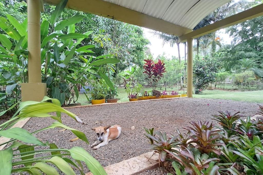 Villa Anacahuita, Limonal Jarabacoa Exterior foto