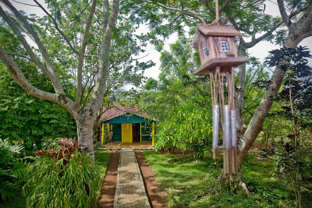 Villa Anacahuita, Limonal Jarabacoa Exterior foto
